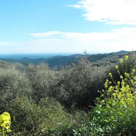 Appartement Giallo By Interhome Vasia