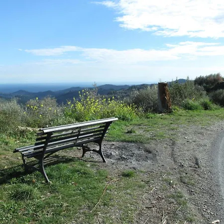 Giallo By Interhome Appartement