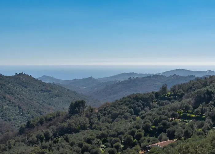 Giallo By Interhome Appartement Vasia